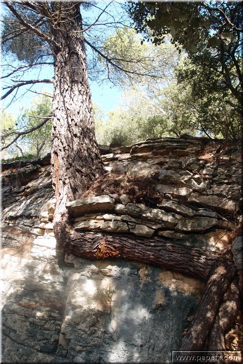 PA286789.JPG
