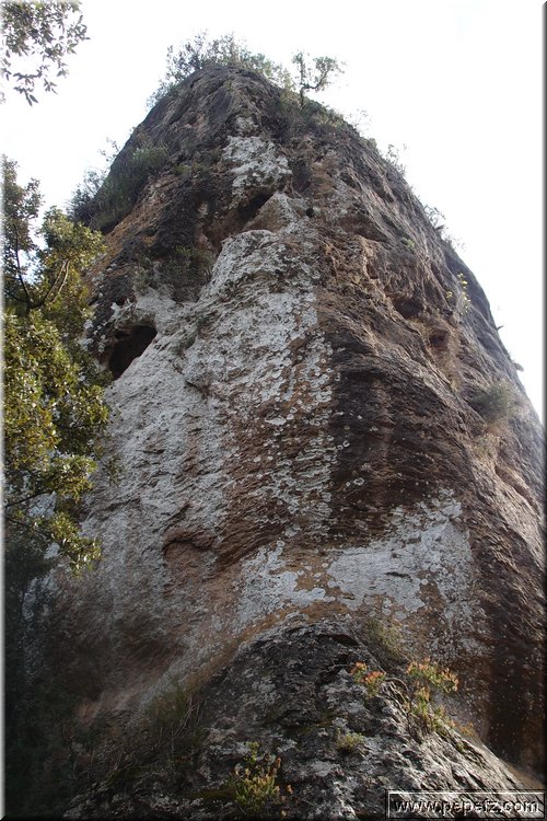 PA286793.JPG