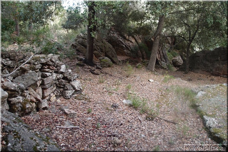 PA286801.JPG