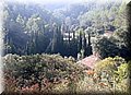 PA286694.JPG