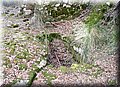 PA286703.JPG