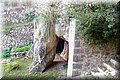 PA286717.JPG