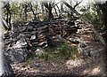 PA286744.JPG