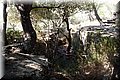 PA286747.JPG