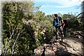 PA286752.JPG
