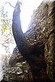 PA286758.JPG