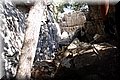 PA286775.JPG