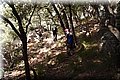 PA286787.JPG