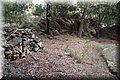 PA286801.JPG