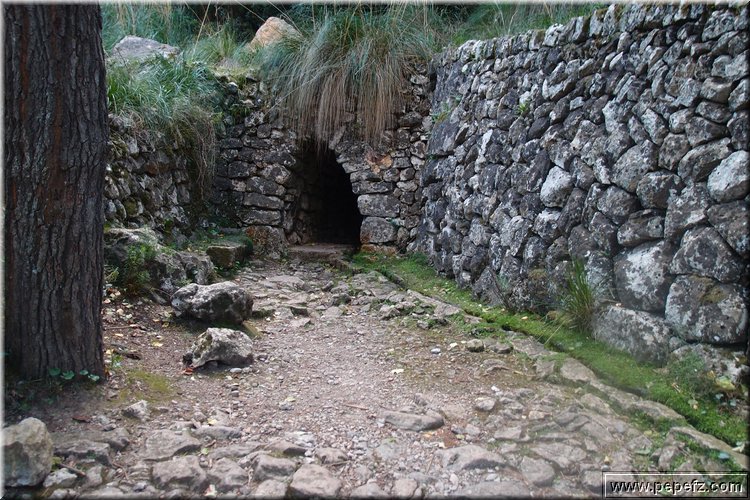 PA316810.JPG