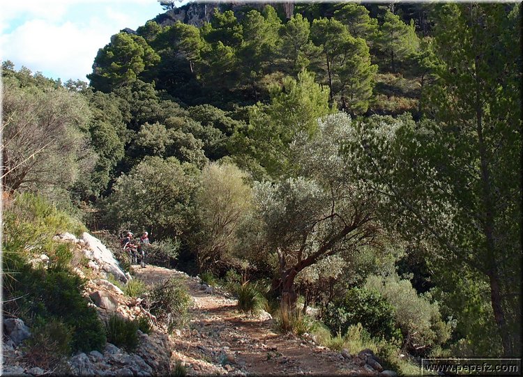 PA316815.JPG