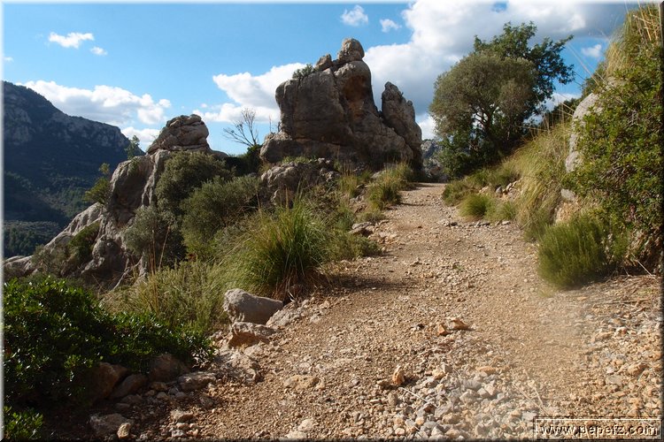 PA316816.JPG