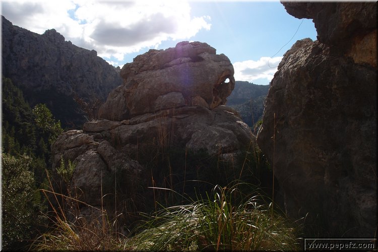 PA316817.JPG