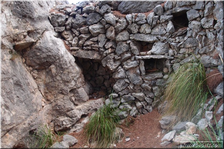 PA316820.JPG