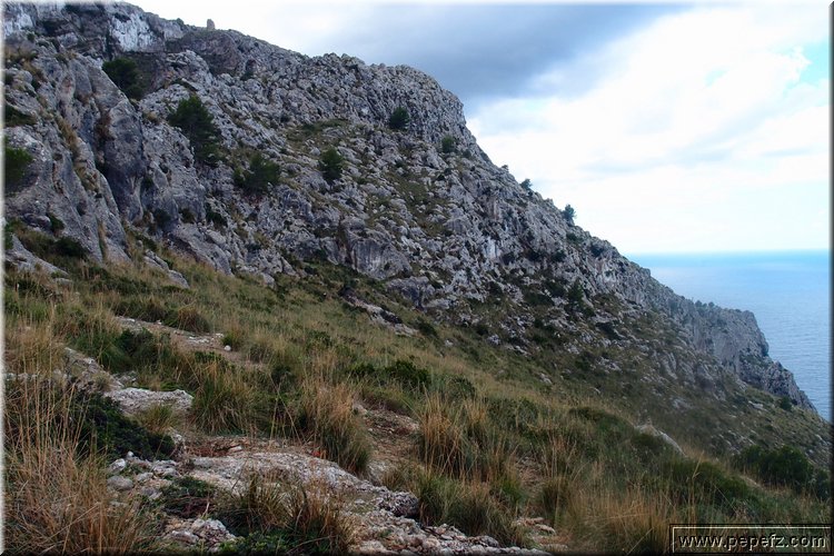 PA316837.JPG