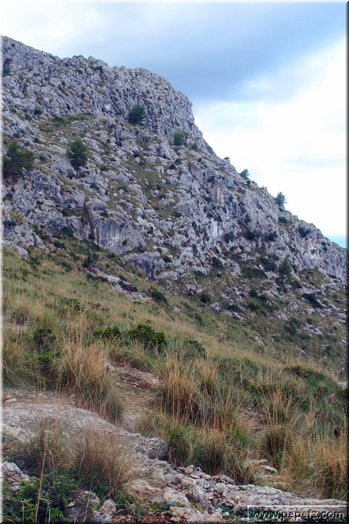 PA316838.JPG