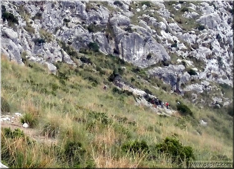 PA316840.JPG