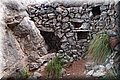 PA316820.JPG