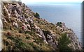 PA316834.JPG