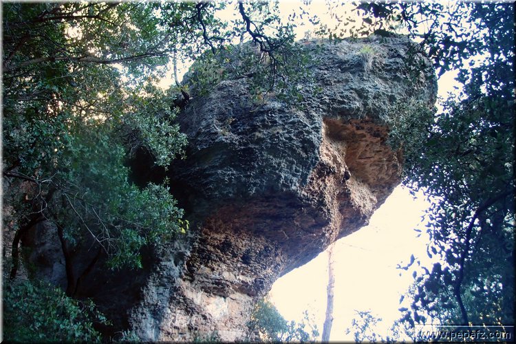 PB077199.JPG