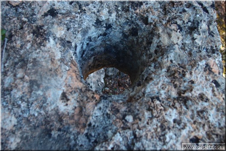 PB077255.JPG
