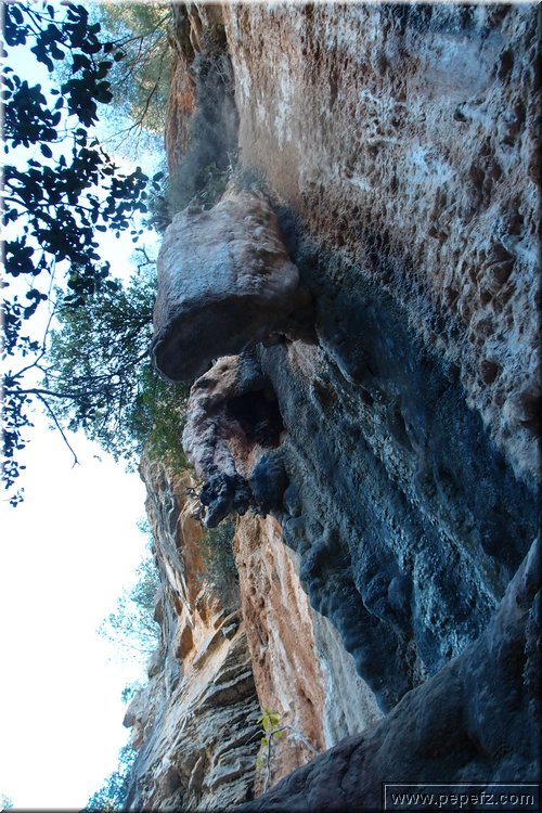 PB077299.JPG