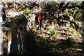 PB077226.JPG