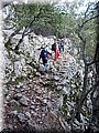 PB100136.JPG