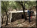 PB100156.JPG