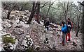 PB107436.JPG