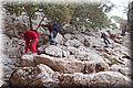 PB107491.JPG