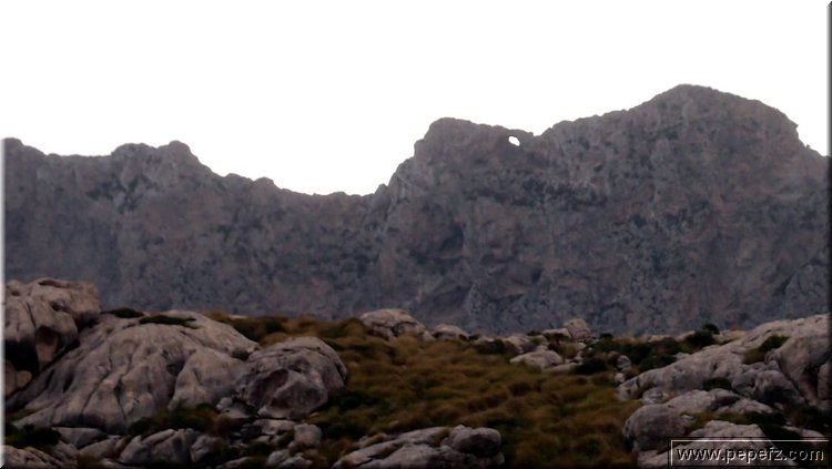 PB117507.JPG