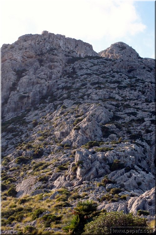 PB117674.JPG