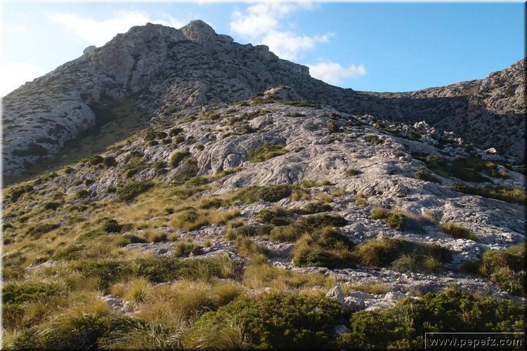 PB117678.JPG