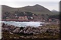 PB117506.JPG