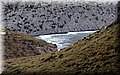 PB117574.JPG