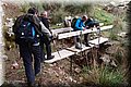 PB117582.JPG