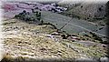 PB117640.JPG
