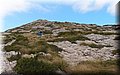 PB117653.JPG