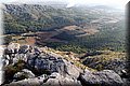 PB117665.JPG
