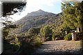 PB117683.JPG