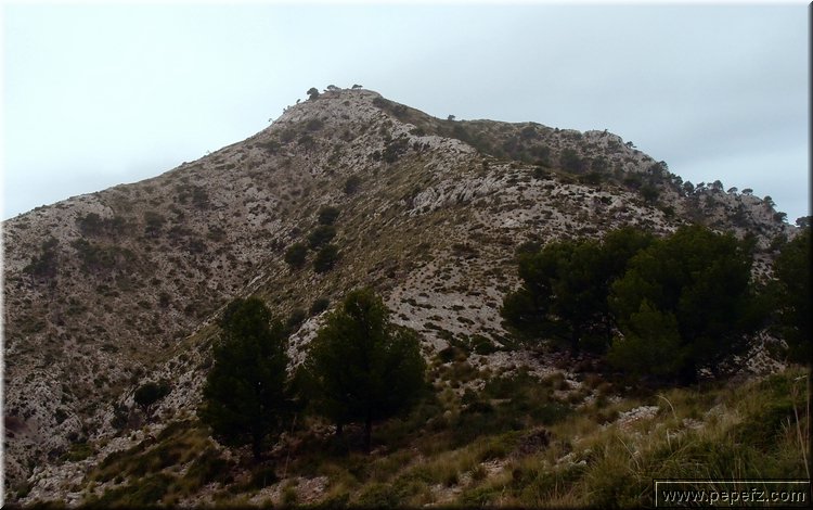 PB147934.JPG
