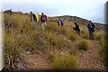PB147847.JPG