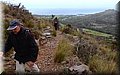 PB147856.JPG
