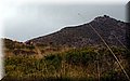 PB147873.JPG