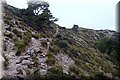 PB147927.JPG