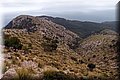 PB147930.JPG
