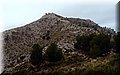 PB147934.JPG