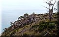 PB147950.JPG