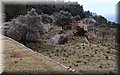 PB218055.JPG